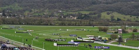 tips for cheltenham friday|Cheltenham Day 4 Tips: Friday Tips For The 2024 Festival .
